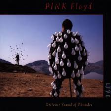 Pink Floyd - Delicate Sound of Thunder (CD)