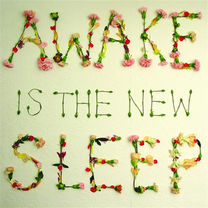 Ben Lee - Awake is the New Sleep