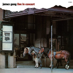 James Gang - Live In Concert