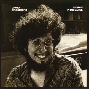 David Bromberg - Demon In Disguise