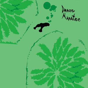 Animal Collective - Danse Manatee