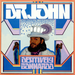Dr. John - Destively Bonnaroo