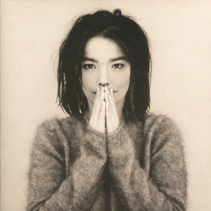 Bjork - Debut