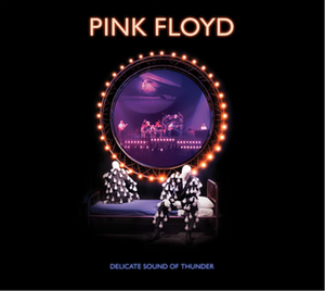 Pink Floyd: Delicate Sound of Thunder (DVD)