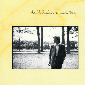 David Sylvian - Brilliant Trees