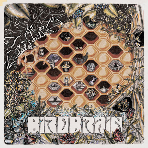 Zuffalo - Birdbrain