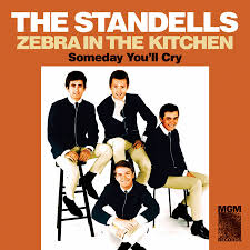 The Standells - Zebra In The Kitchen