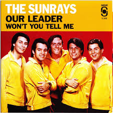 The Sunrays - Our Leader